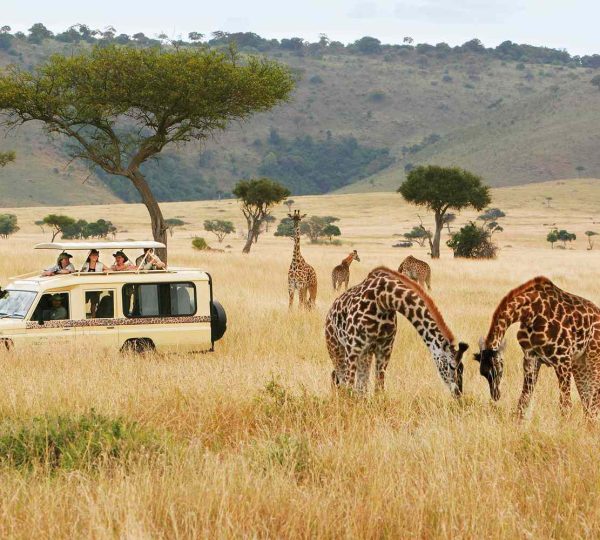 Game drive
