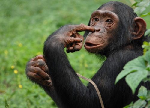 EXPLORE QUEEN ELIZABETH NATIONAL PARK