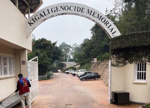 14-DAYS EXPERIENCE, RWANDA AND UGANDA MERGED TO DISCOVER ART OF APES AND WILDLIFE.
